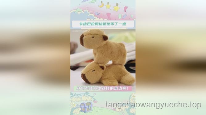 出逃54天：卡皮巴拉“豆包”的奇幻归途